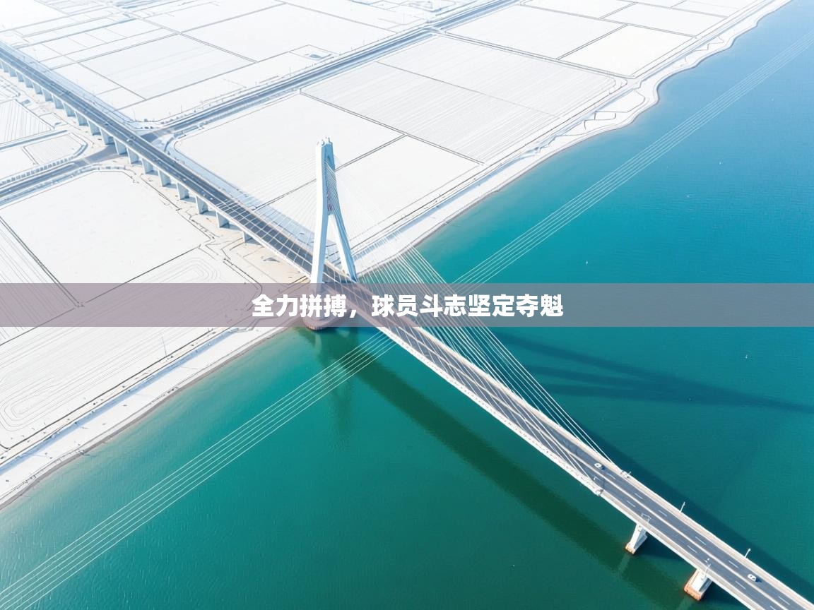 全力拼搏,球员斗志坚定夺魁 第1张