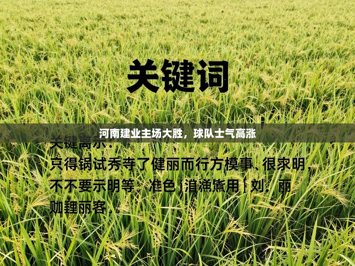 河南建业主场大胜，球队士气高涨  第2张