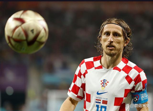 包含阿尔巴尼亚队负于瑞士，遗憾出局欧国大赛的词条