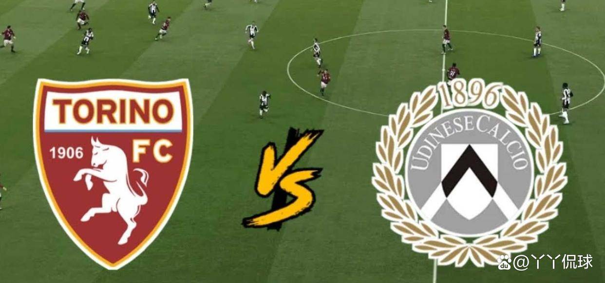都灵客场不敌乌迪内斯,失去机会 都灵客场不敌乌迪内斯,失去机会